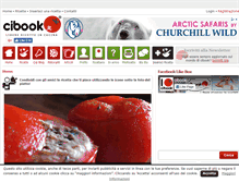 Tablet Screenshot of cibook.it